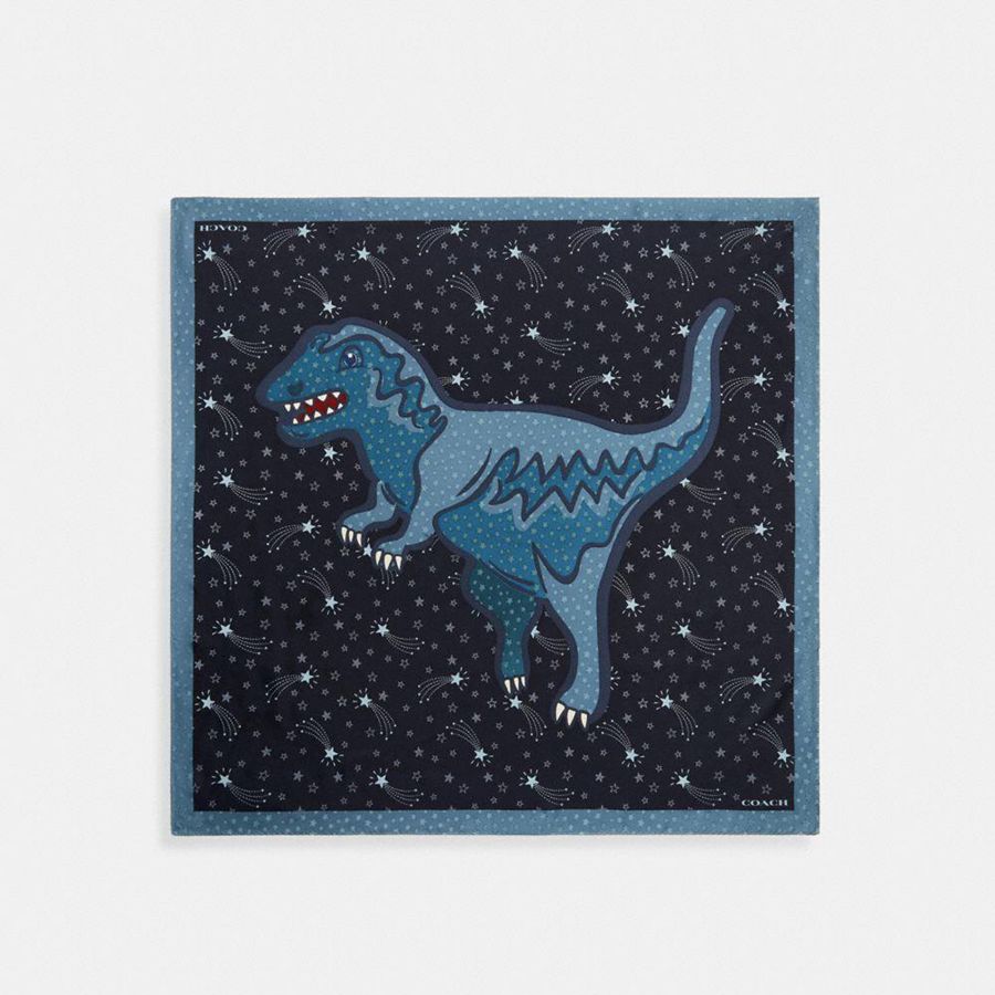 Lenço COACH Shooting Star Rexy Print Silk Square Feminino Azuis | 80154KCYJ
