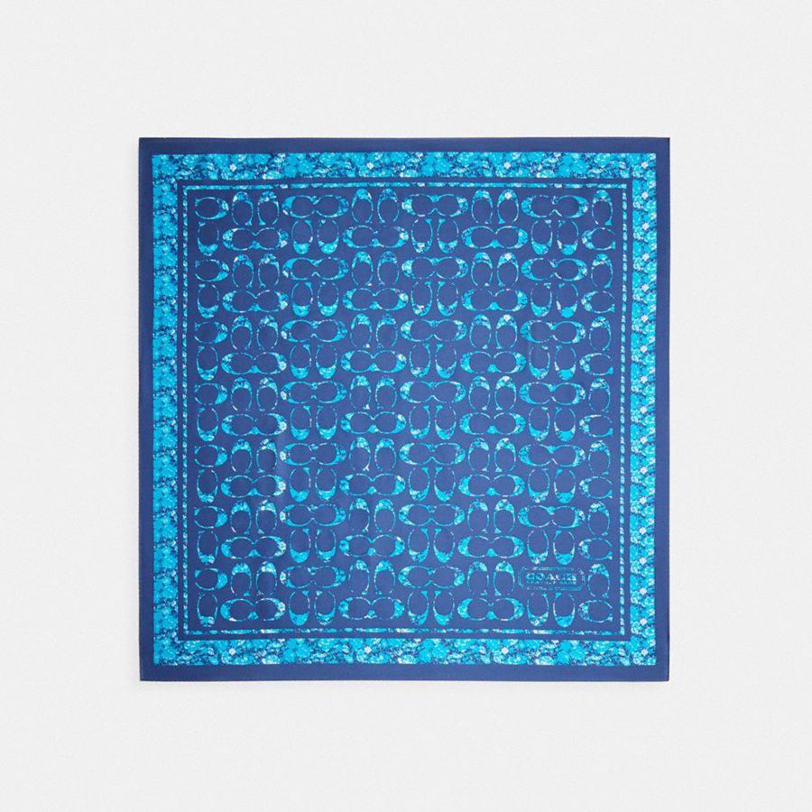 Lenço COACH Signature Rose Meadow Print Silk Square Feminino Azul Marinho | 81564FATY