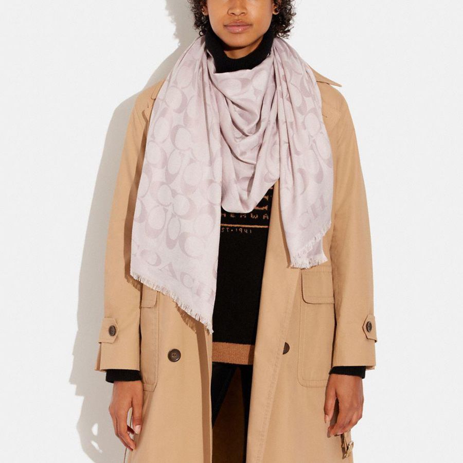 Lenço COACH Signature Stole Feminino Rosa | 27951JSBI