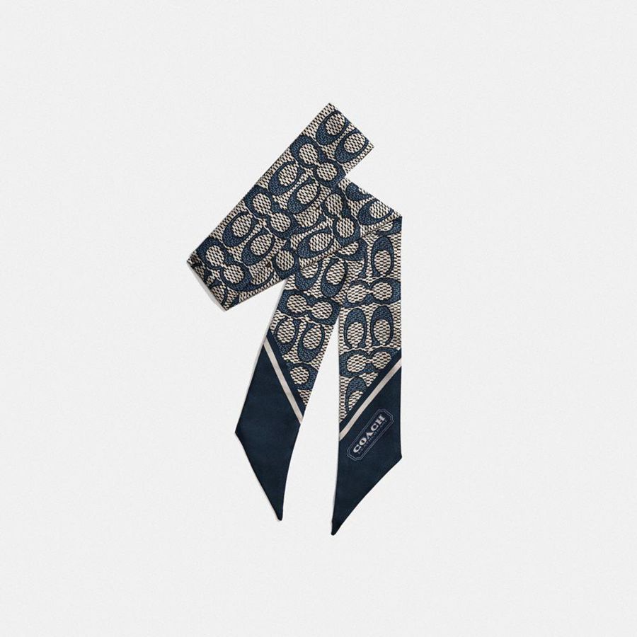Lenço COACH Textured Signature Print Silk Skinny Feminino Pretas | 25174ZJIC