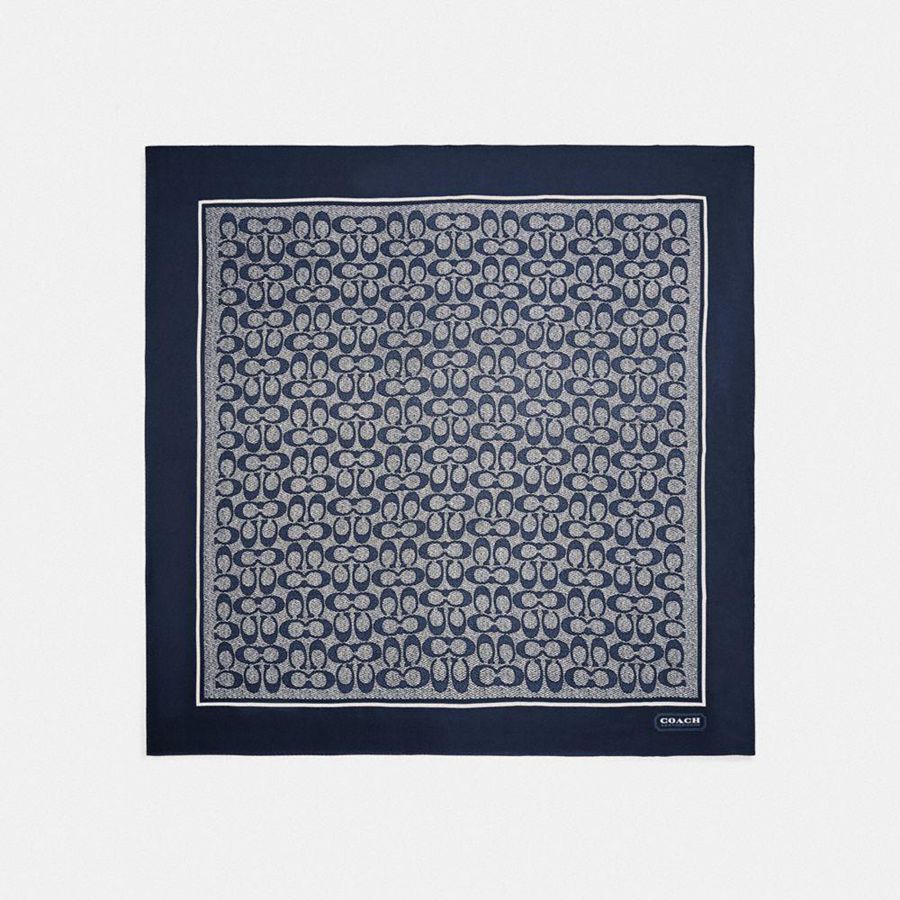 Lenço COACH Textured Signature Print Silk Square Feminino Azul Marinho | 05148SXCO