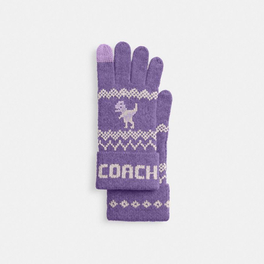 Luvas COACH Rexy Fair Isle Print Knit Feminino Roxo | 83917GZPD
