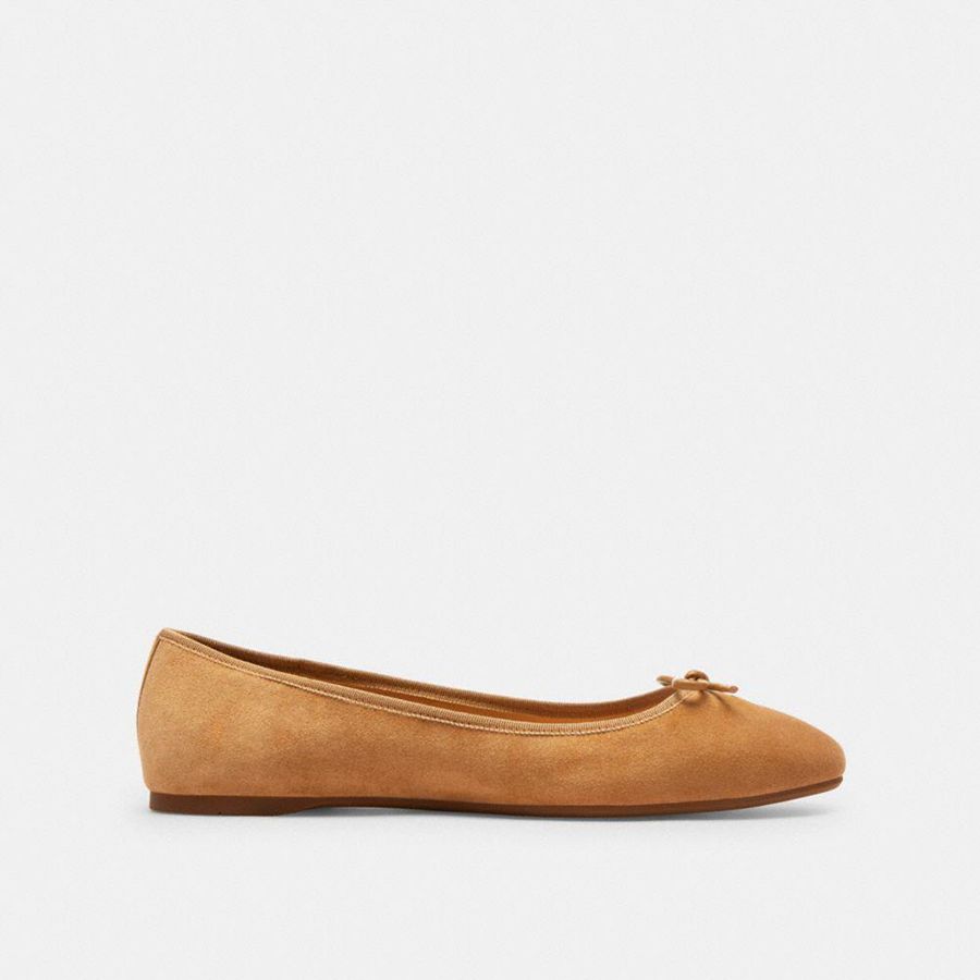 Mocassins COACH Abigail Flat Feminino Marrom | 10249CTQD