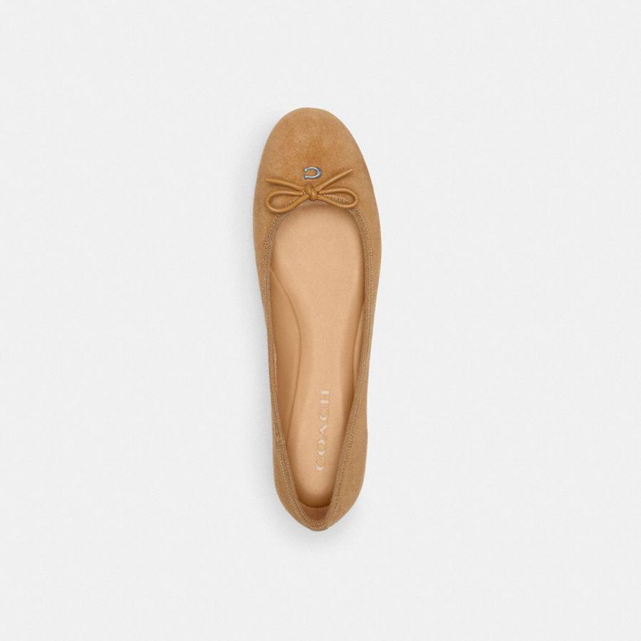 Mocassins COACH Abigail Flat Feminino Marrom | 10249CTQD