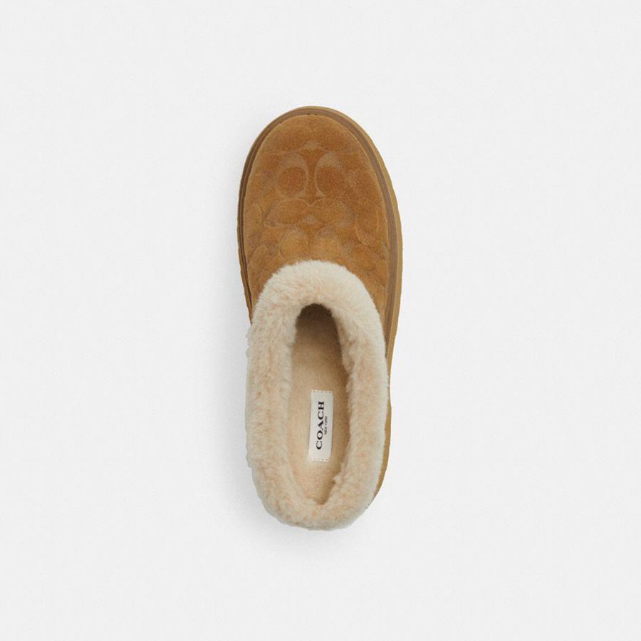 Mocassins COACH Cecelia Clog In Signature Suede Feminino Marrom | 76503EKBT