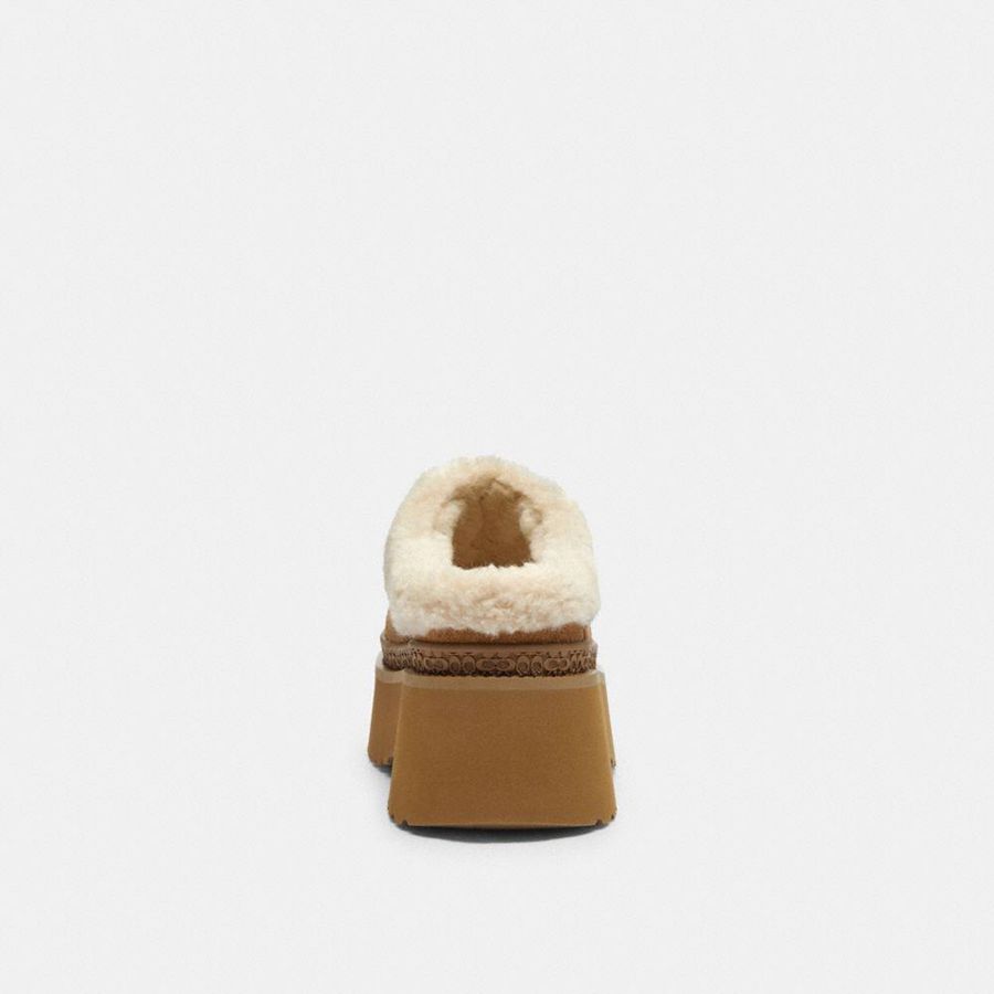 Mocassins COACH Cecelia Clog In Signature Suede Feminino Marrom | 76503EKBT