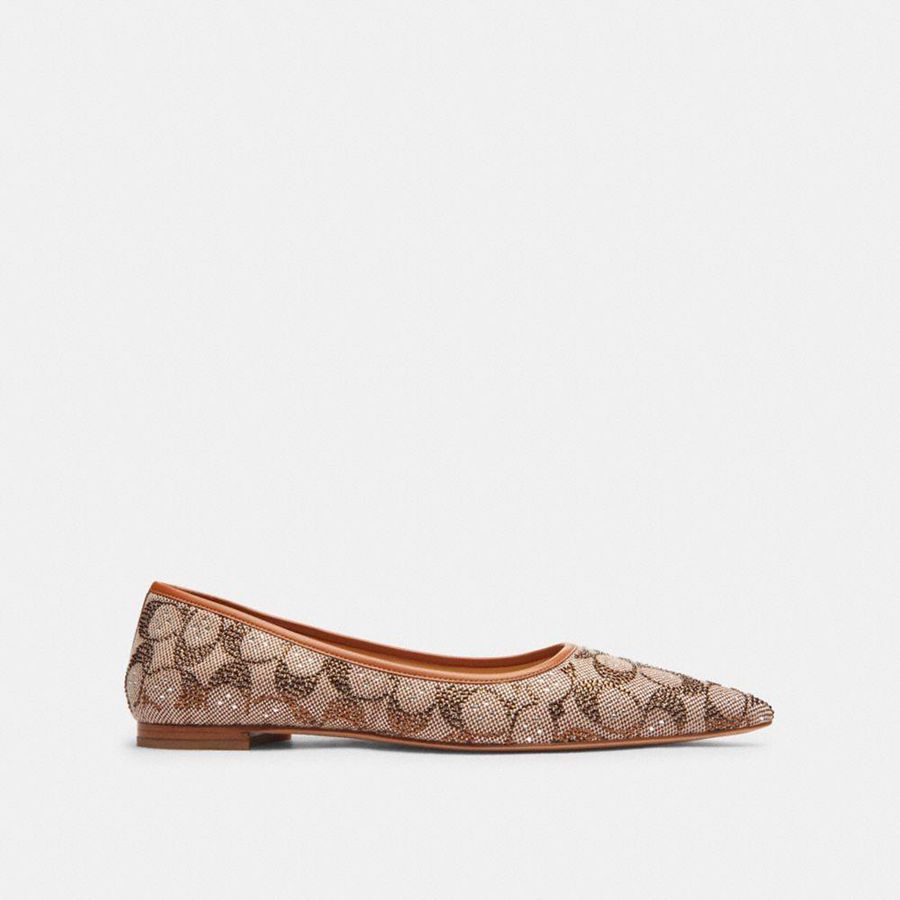 Mocassins COACH Daphne Flat In Crystal Signature Jacquard Feminino Marrom | 05329BNSK