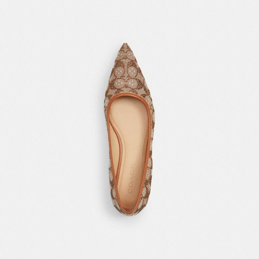 Mocassins COACH Daphne Flat In Crystal Signature Jacquard Feminino Marrom | 05329BNSK
