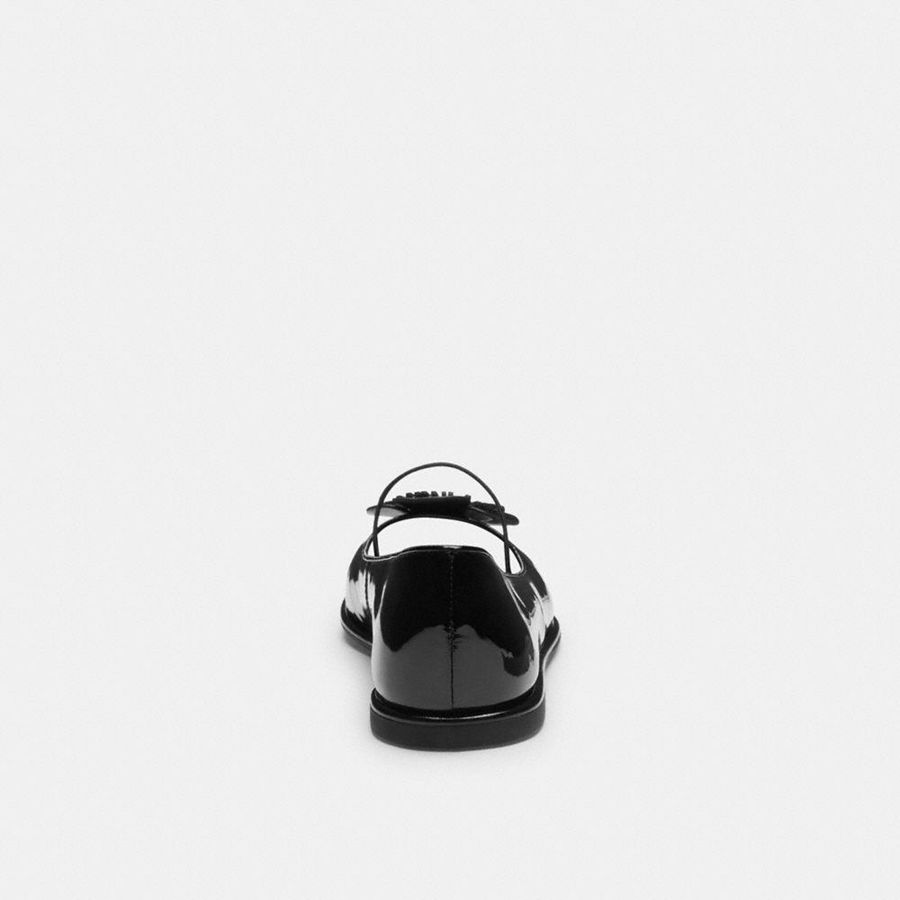Mocassins COACH Elaina Ballet Feminino Pretas | 29735UAMT