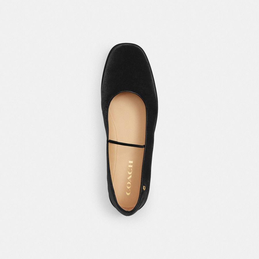 Mocassins COACH Emilia Mary Jane Feminino Pretas | 81394QYVU