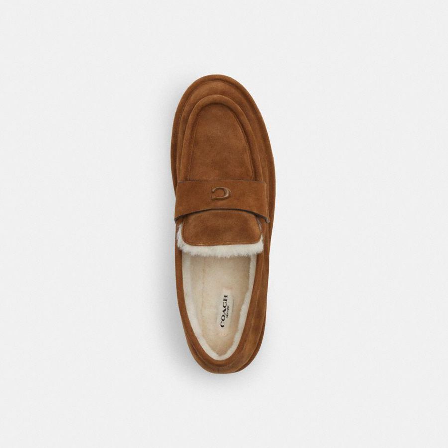 Mocassins COACH Forest Slipper Feminino Marrom | 80541RZJN