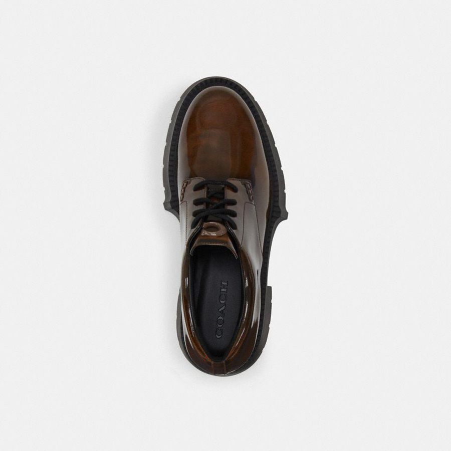 Mocassins COACH Lyla Platform Derby Feminino Marrom | 20841XSLP
