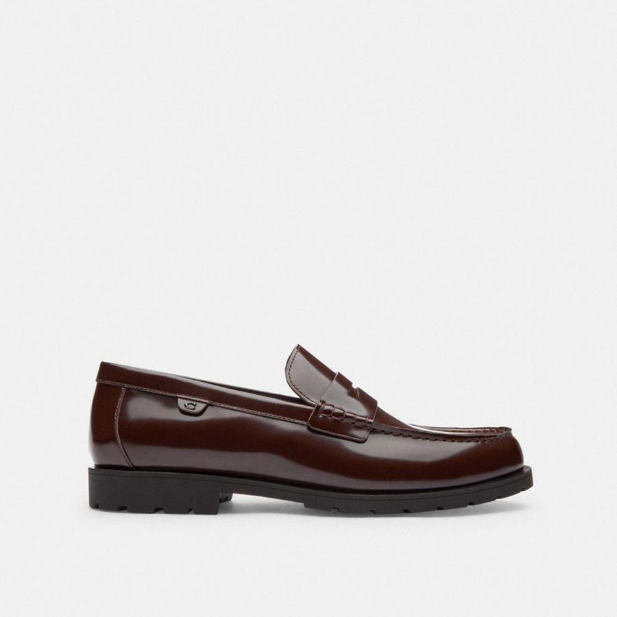 Mocassins COACH Reagan Masculino Marrom | 08234XNDP