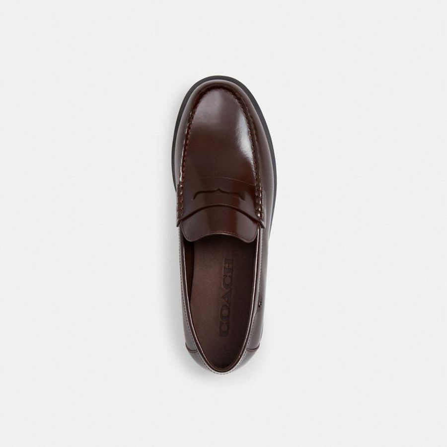 Mocassins COACH Reagan Masculino Marrom | 08234XNDP
