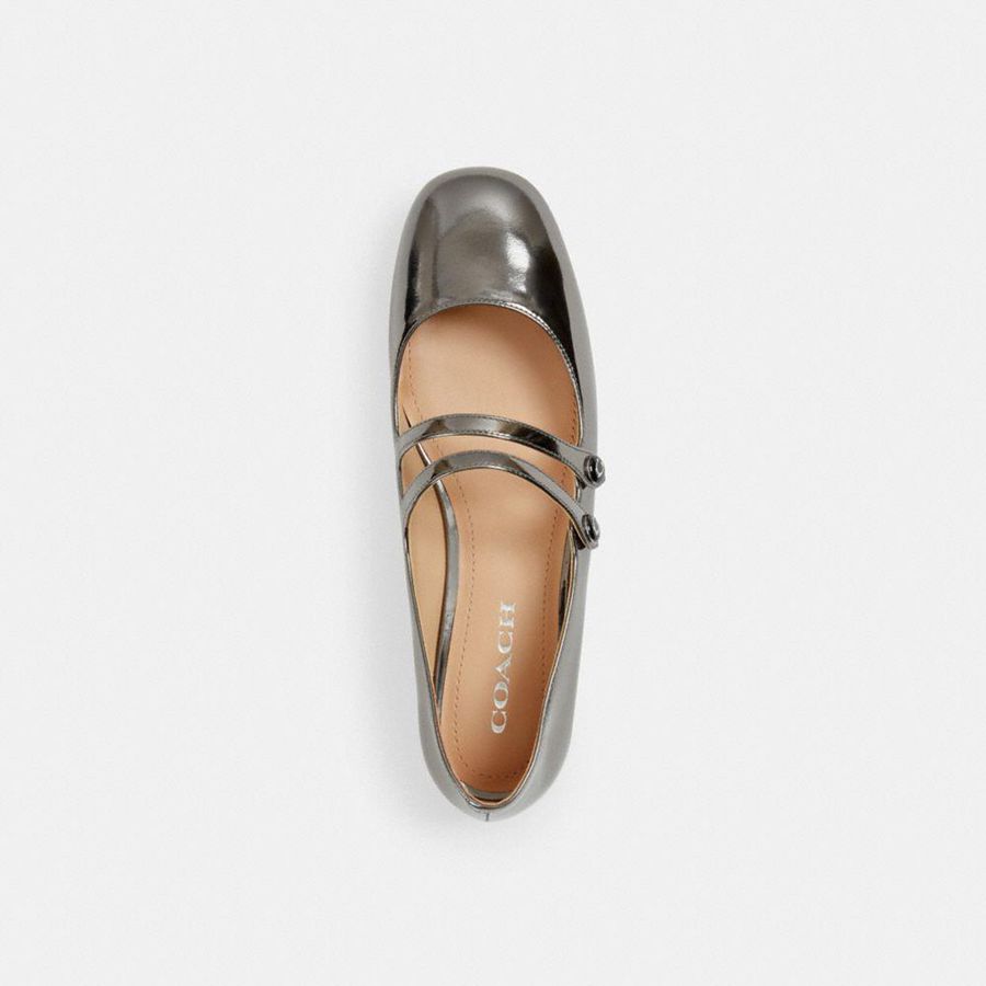 Mocassins COACH Winley Mary Jane Feminino Prateadas | 92673WFYQ