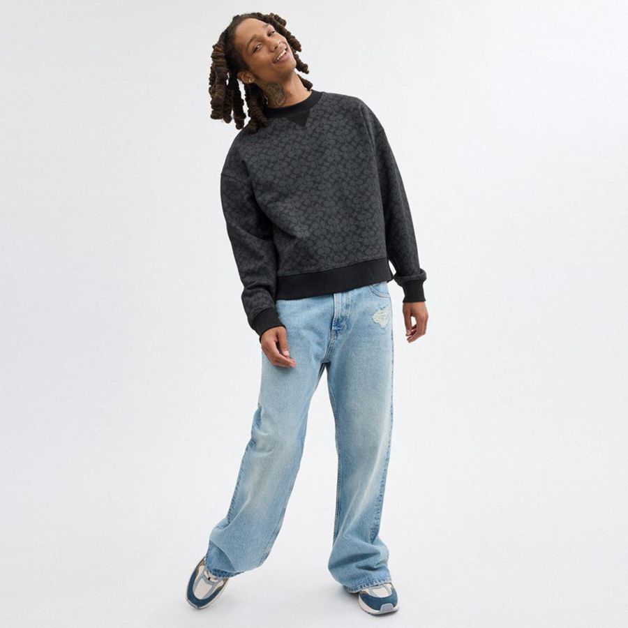 Moletom COACH Essential Signature Crewneck Masculino Cinzentas | 35924FMDK