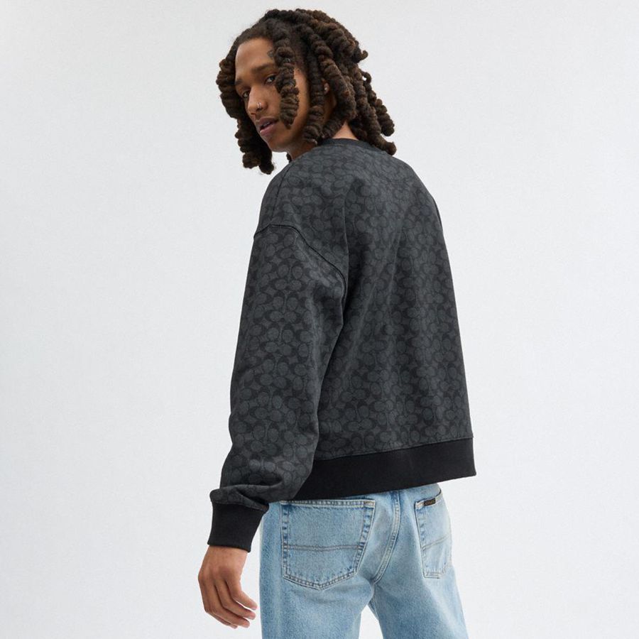 Moletom COACH Essential Signature Crewneck Masculino Cinzentas | 35924FMDK