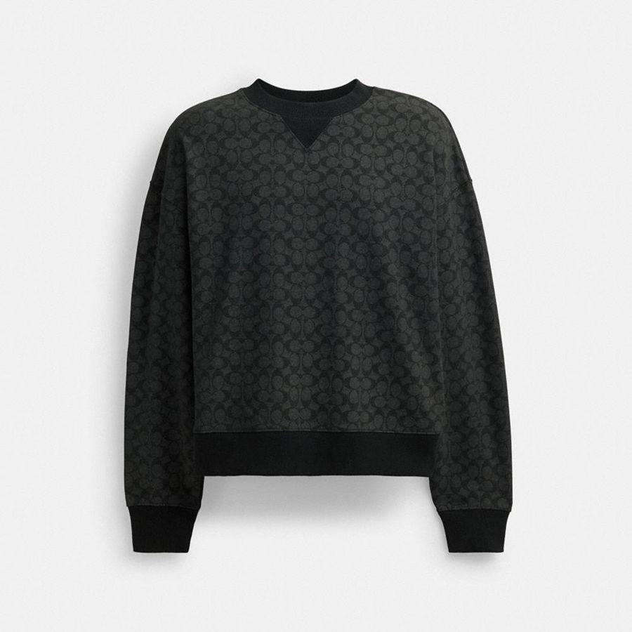 Moletom COACH Essential Signature Crewneck Masculino Cinzentas | 35924FMDK