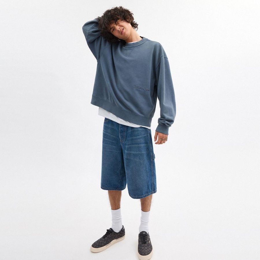 Moletom COACH Garment Dye Crewneck Masculino Azuis | 15983HQUT