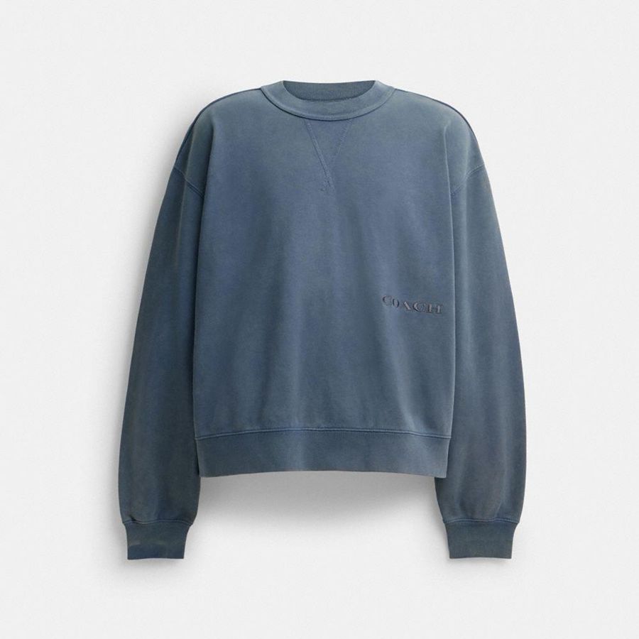 Moletom COACH Garment Dye Crewneck Masculino Azuis | 15983HQUT