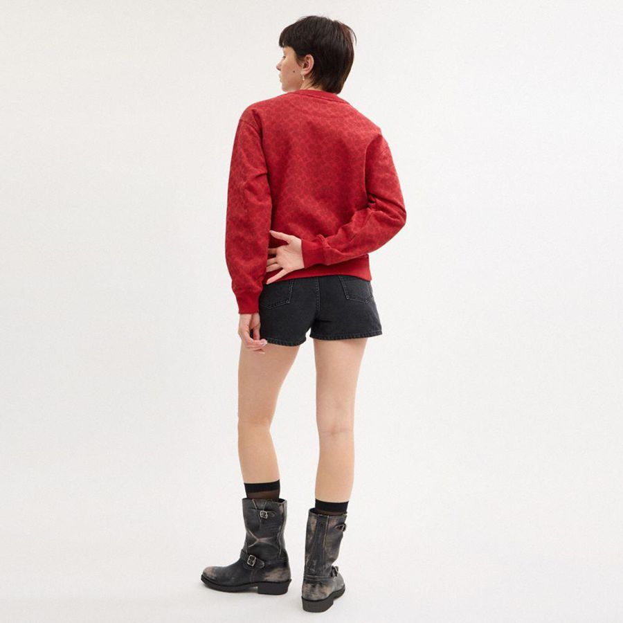 Moletom COACH Signature Pegasus Feminino Vermelhas | 26897JNBS