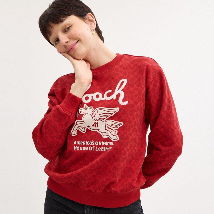 Moletom COACH Signature Pegasus Feminino Vermelhas | 26897JNBS
