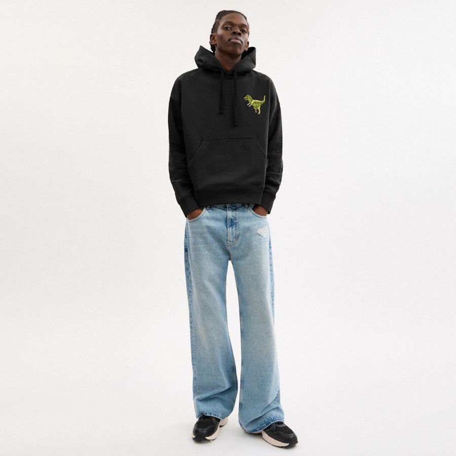 Moletom com Capuz COACH Rexy Masculino Pretas | 31592ENJS