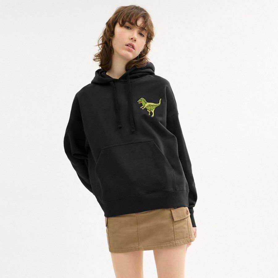Moletom com Capuz COACH Rexy Masculino Pretas | 31592ENJS