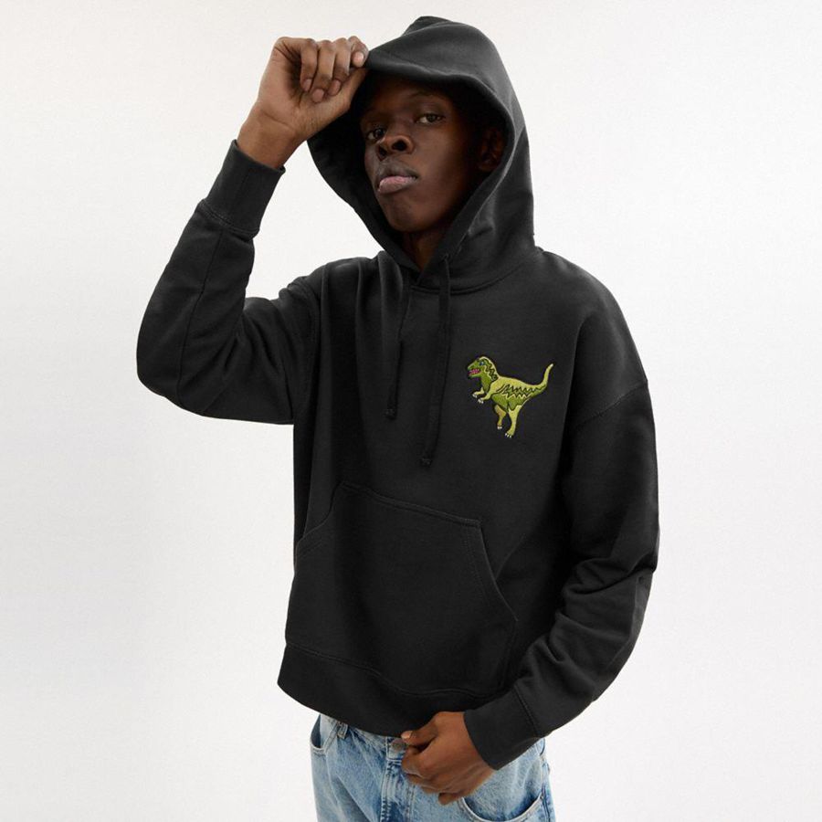 Moletom com Capuz COACH Rexy Masculino Pretas | 31592ENJS