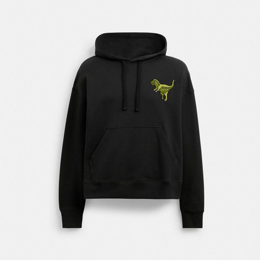 Moletom com Capuz COACH Rexy Masculino Pretas | 31592ENJS