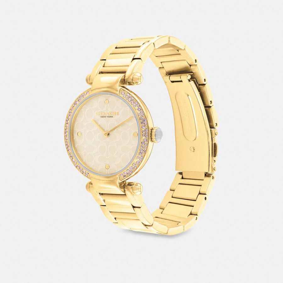 Relógios COACH Cary, 34 Mm Feminino Douradas | 71382RDIW