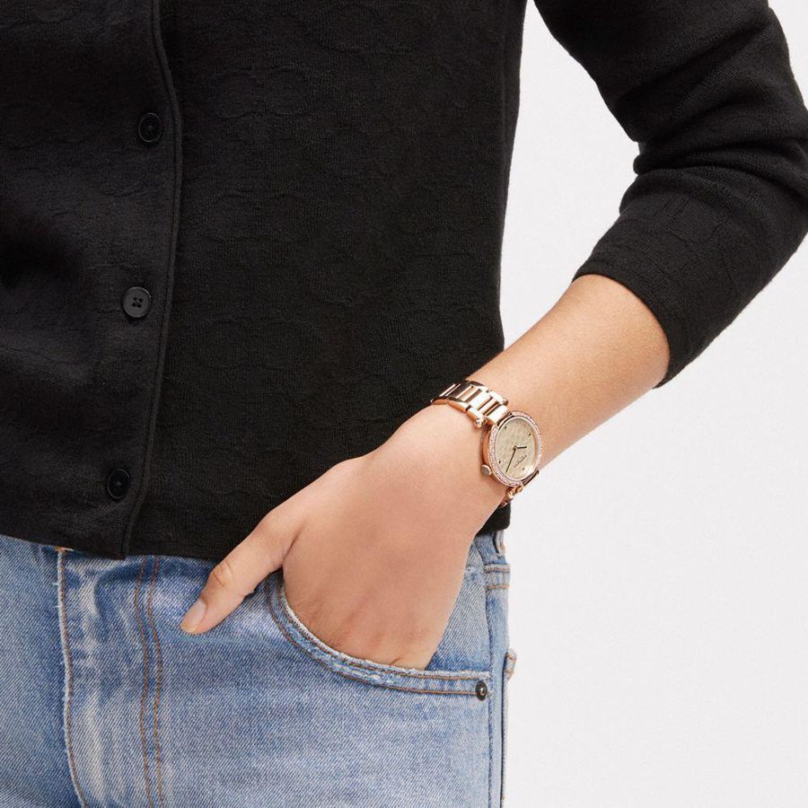 Relógios COACH Cary, 34 Mm Feminino Douradas | 53786NHYW