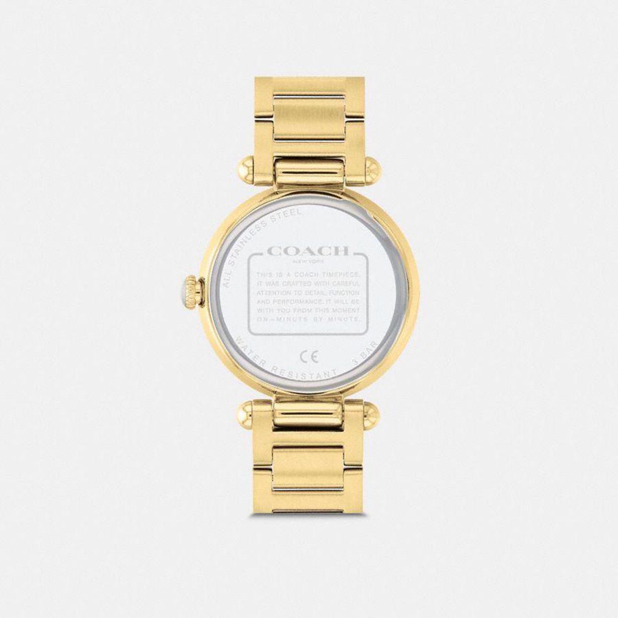 Relógios COACH Cary, 34 Mm Feminino Douradas | 81340EDSP