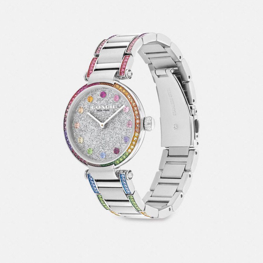 Relógios COACH Cary, 34 Mm Feminino Prateadas | 94675JIMV