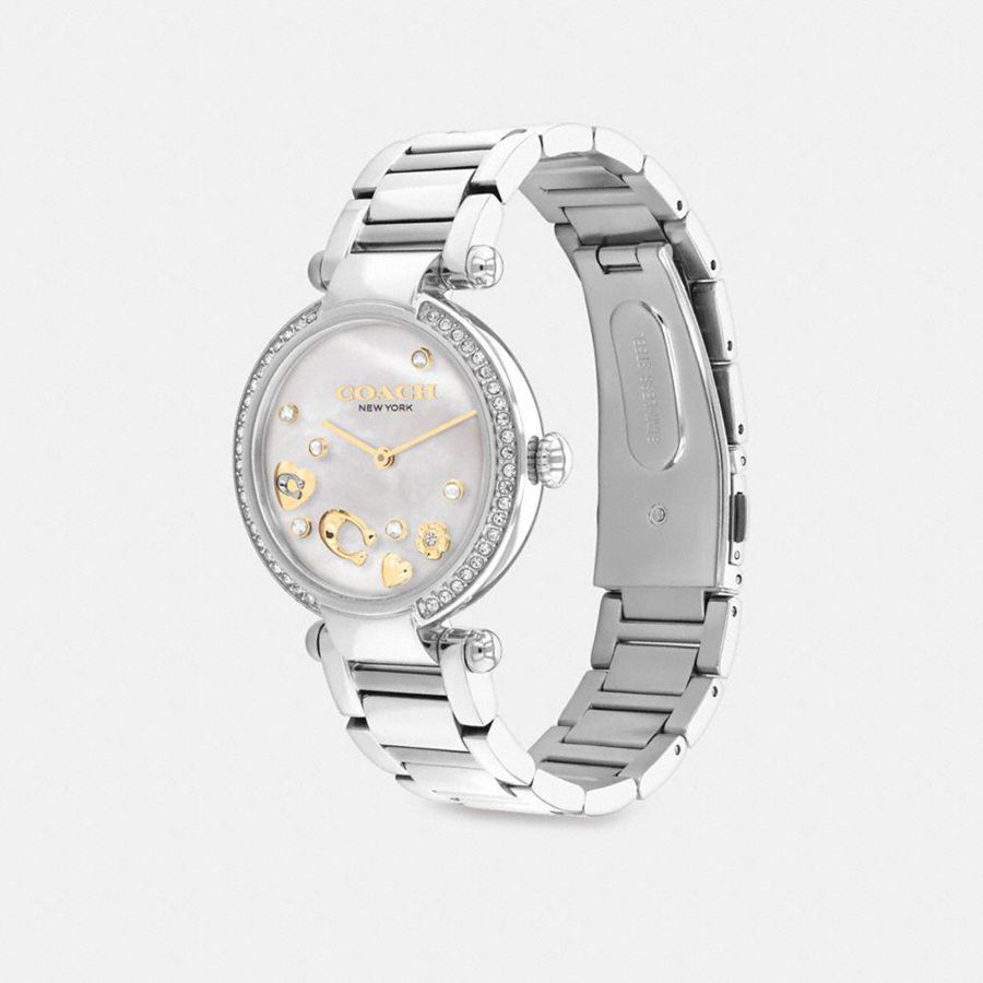 Relógios COACH Cary, 34 Mm Feminino Prateadas | 49251VEDO