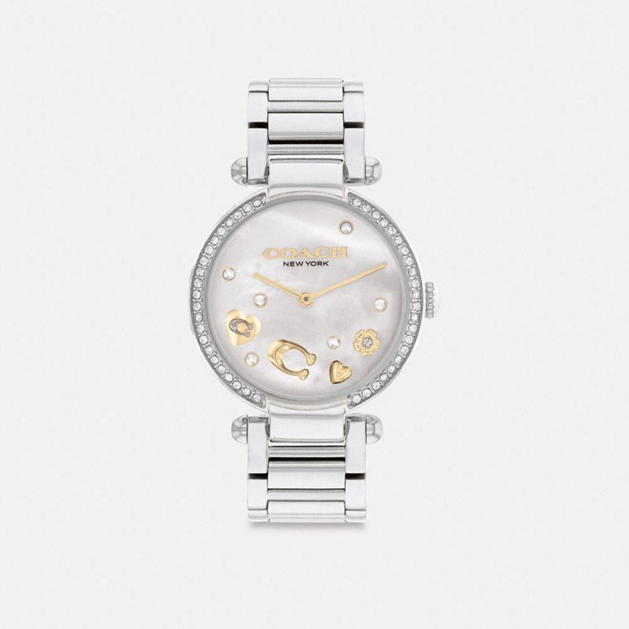 Relógios COACH Cary, 34 Mm Feminino Prateadas | 49251VEDO