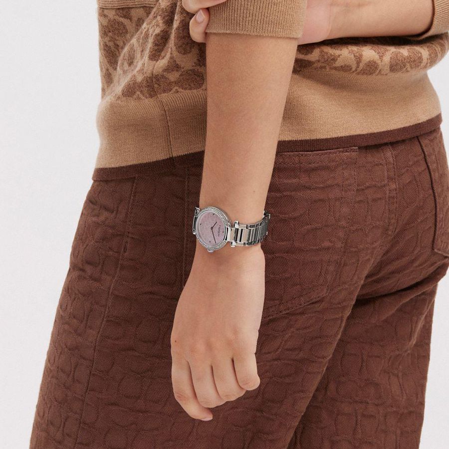 Relógios COACH Cary, 34 Mm Feminino Prateadas | 06143UOGT