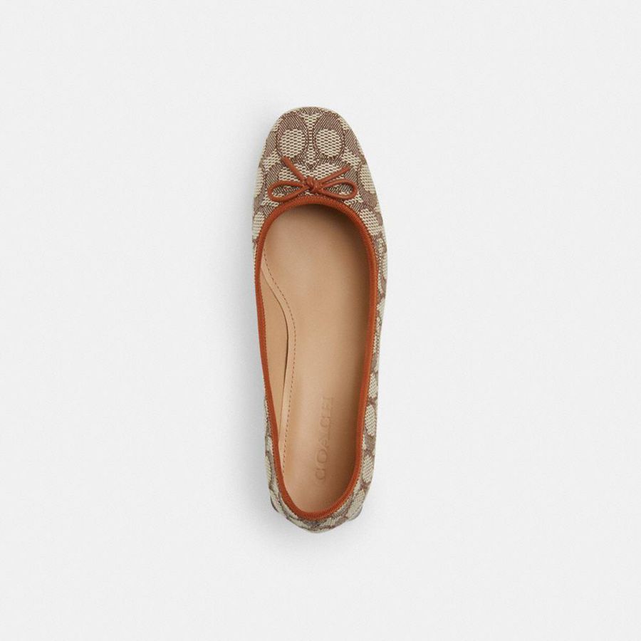 Saltos COACH Ava Ballet In Signature Textile Jacquard Feminino Marrom | 16958PUQM