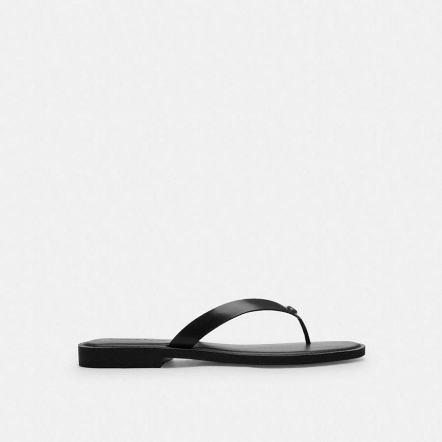Sandálias COACH Brianna Flip Flop Feminino Pretas | 52741OJQV