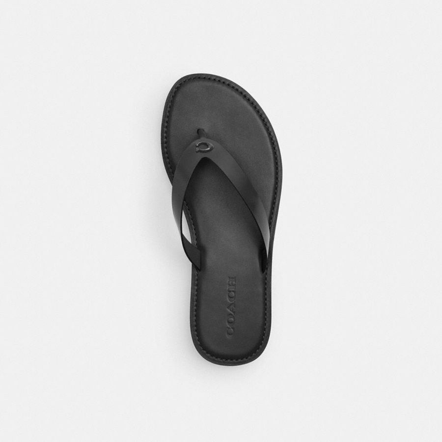 Sandálias COACH Brianna Flip Flop Feminino Pretas | 52741OJQV