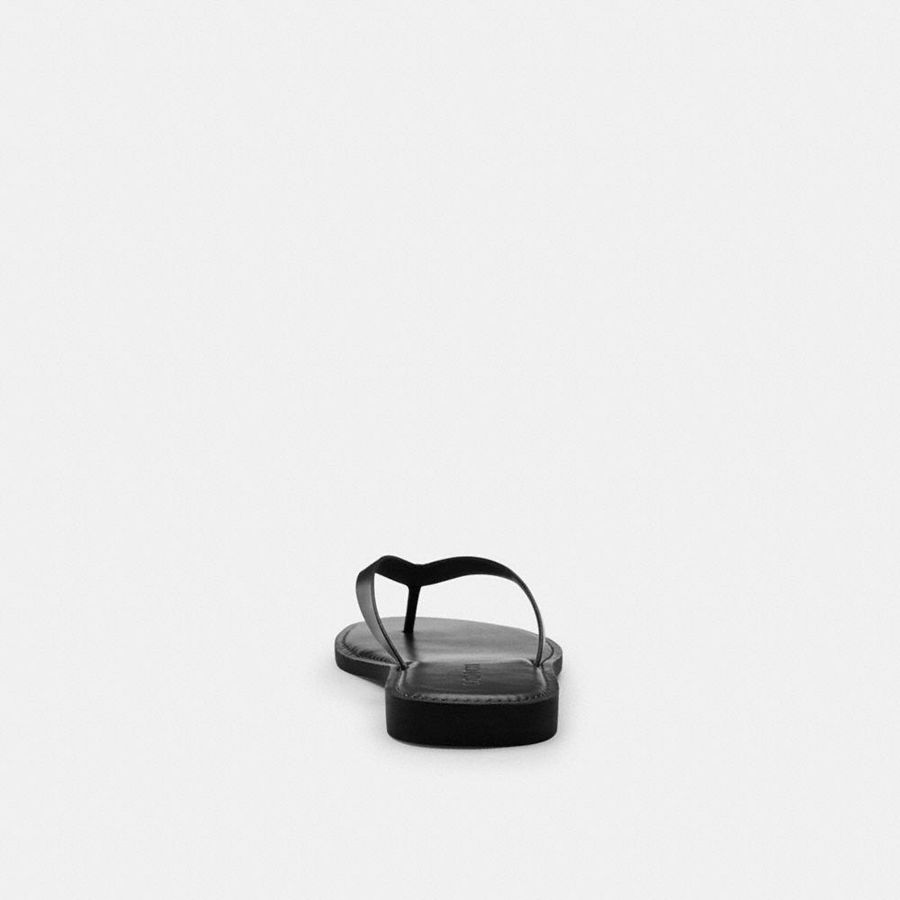 Sandálias COACH Brianna Flip Flop Feminino Pretas | 52741OJQV