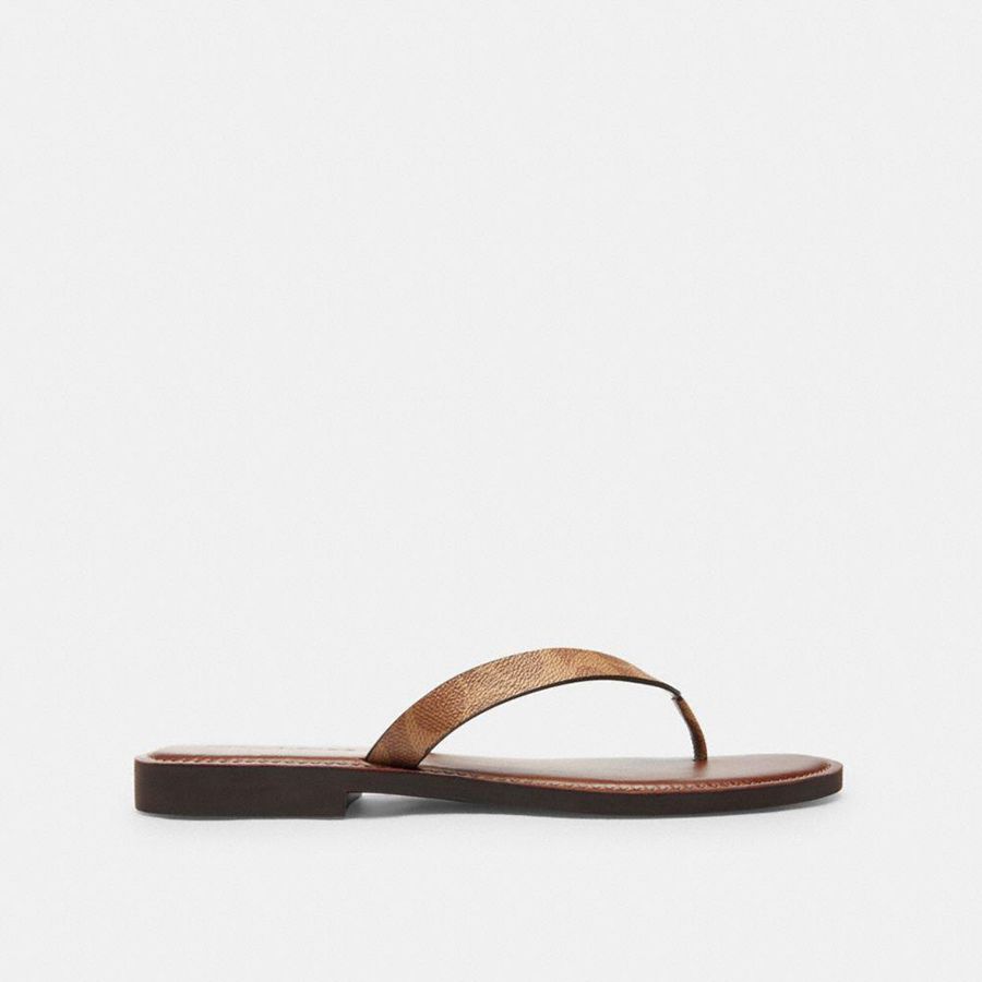 Sandálias COACH Brianna Flip Flop In Signature Canvas Feminino Marrom | 95304VXEF