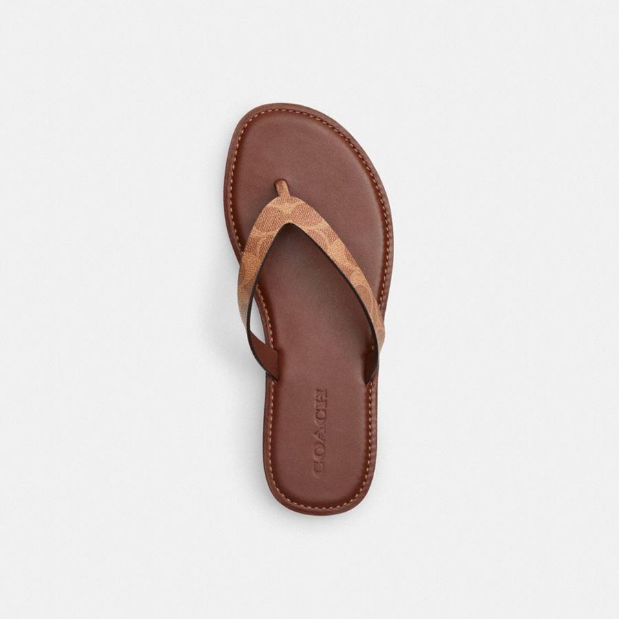 Sandálias COACH Brianna Flip Flop In Signature Canvas Feminino Marrom | 95304VXEF