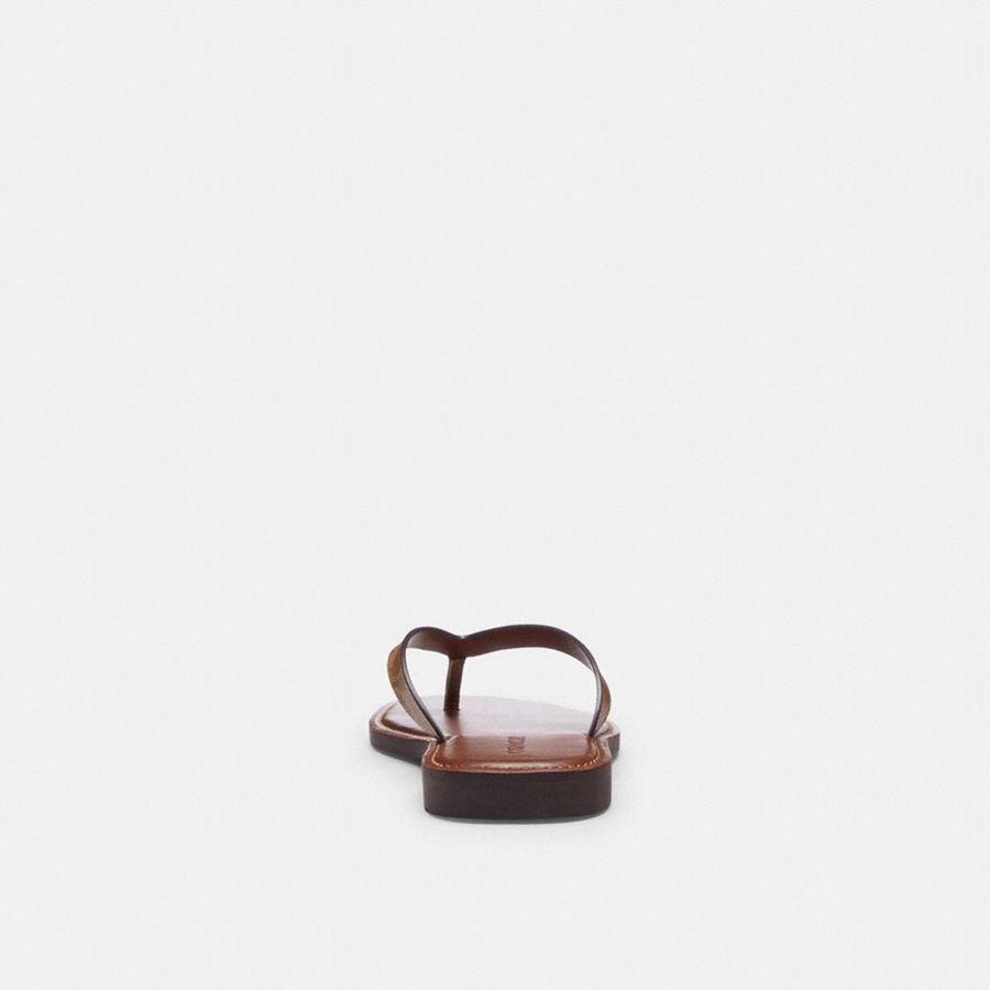 Sandálias COACH Brianna Flip Flop In Signature Canvas Feminino Marrom | 95304VXEF