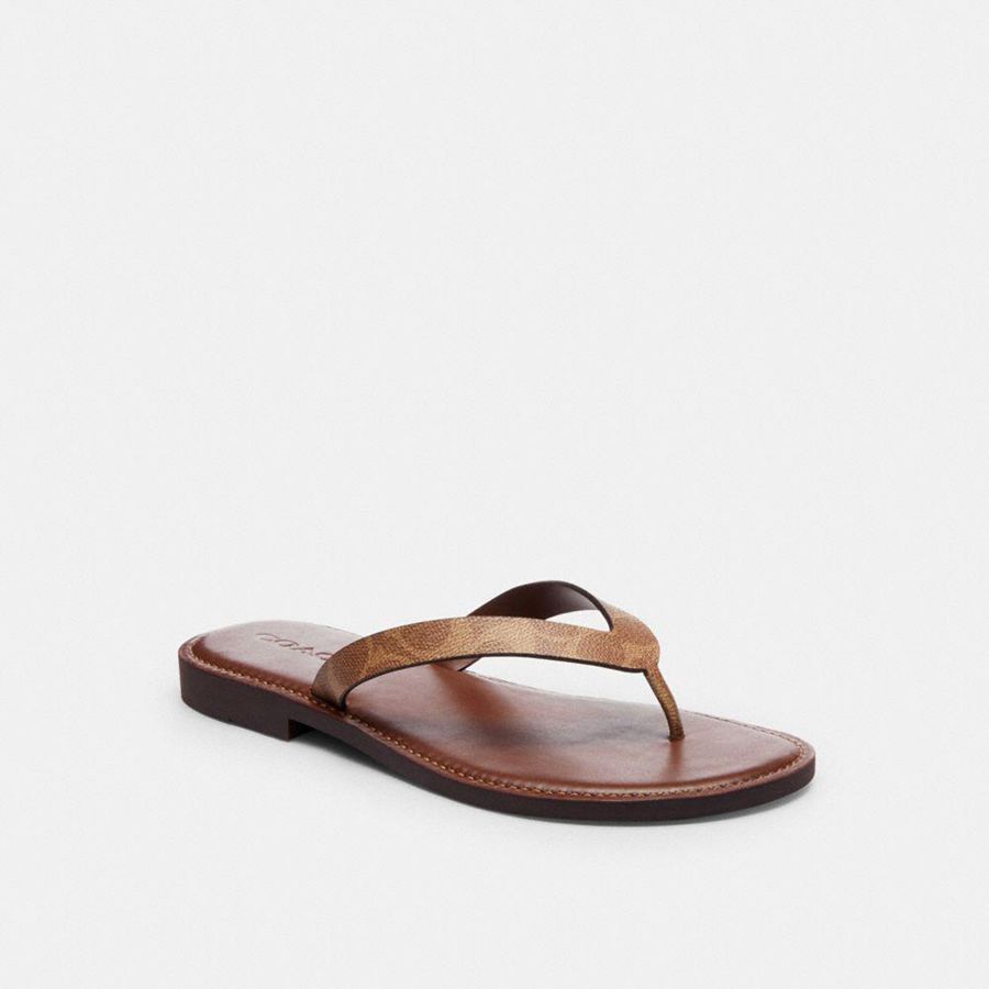 Sandálias COACH Brianna Flip Flop In Signature Canvas Feminino Marrom | 95304VXEF