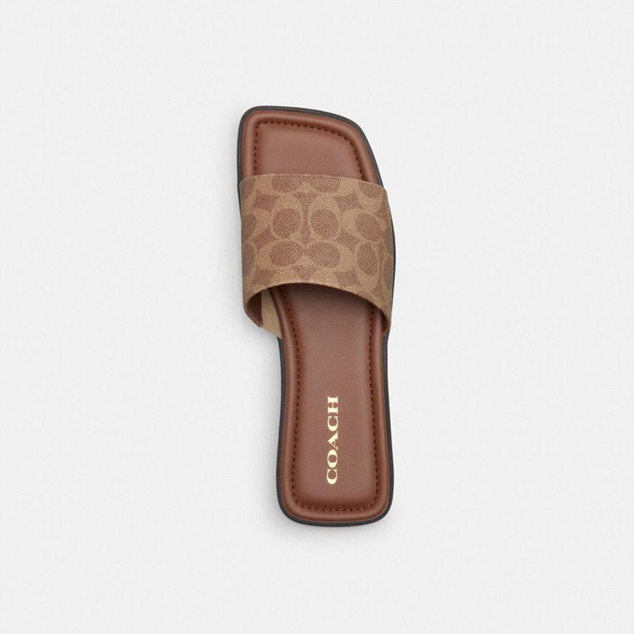 Sandálias COACH Florence In Signature Canvas Feminino Marrom | 10235SYXH