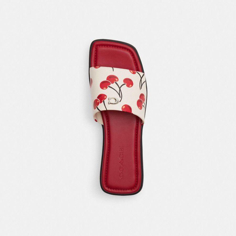 Sandálias COACH Florence With Cherry Print Feminino Vermelhas | 21306AYCN