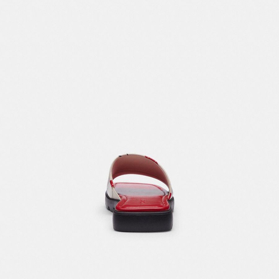 Sandálias COACH Florence With Cherry Print Feminino Vermelhas | 21306AYCN