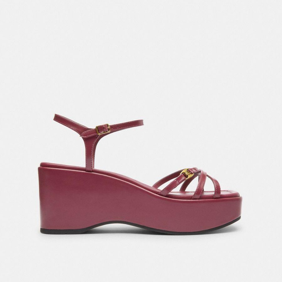 Sandálias COACH Ginny Platform Feminino Rosa | 59862JMNI