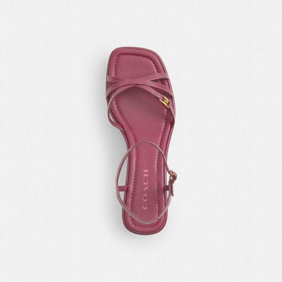 Sandálias COACH Ginny Platform Feminino Rosa | 59862JMNI